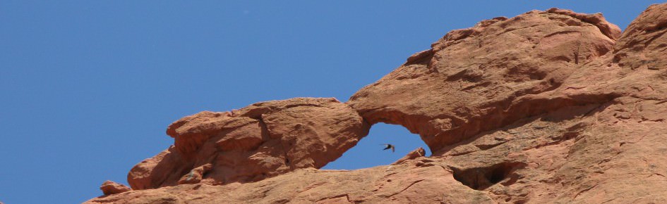 Colorado mountain landscape